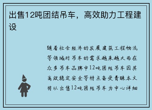 出售12吨团结吊车，高效助力工程建设